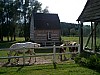 fr03-26