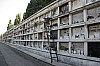 ro_31