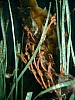 sw-04-10