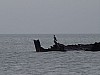 st-04-39