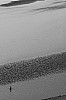 b_w-007