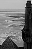 b_w-008