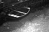 b_w-017