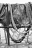 b_w-019