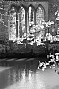 b_w-029