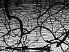 b_w-030
