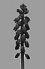 lb-008