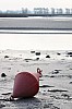 cean_085