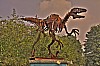 tm_or_02