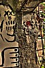 tm_or_13