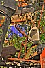 tm_or_41