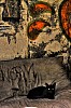 tm_or_46