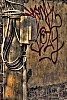 tm_or_48