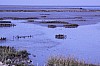 b-siel_01