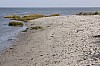 b-siel_20