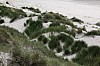 brueg_12