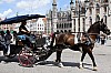 brueg_26