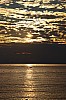 ct_009