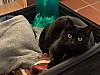DSC03259