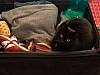 DSC03262