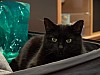 DSC03266