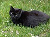 DSC04631