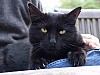 DSC04657