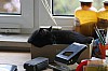 IMG_4775