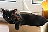 IMG_4785