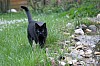 IMG_6877