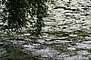 IMG_2859