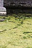 IMG_2873