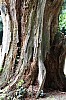 IMG_2877