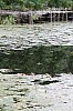 IMG_2882