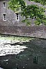 IMG_2885