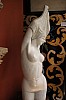 rom12-36