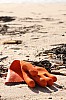 sylt12_06