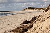 sylt12_15