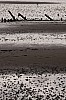 sylt12_32