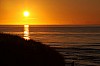 sylt12_50