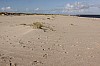 sylt12_60