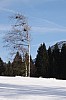 uj_12_17