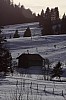 uj_12_24
