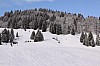 uj_12_32