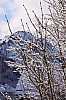 uj_12_38