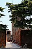 gs_15_21