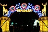 zoo19-01