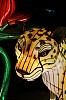 zoo19-07