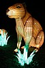 zoo19-12