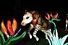 zoo19-18